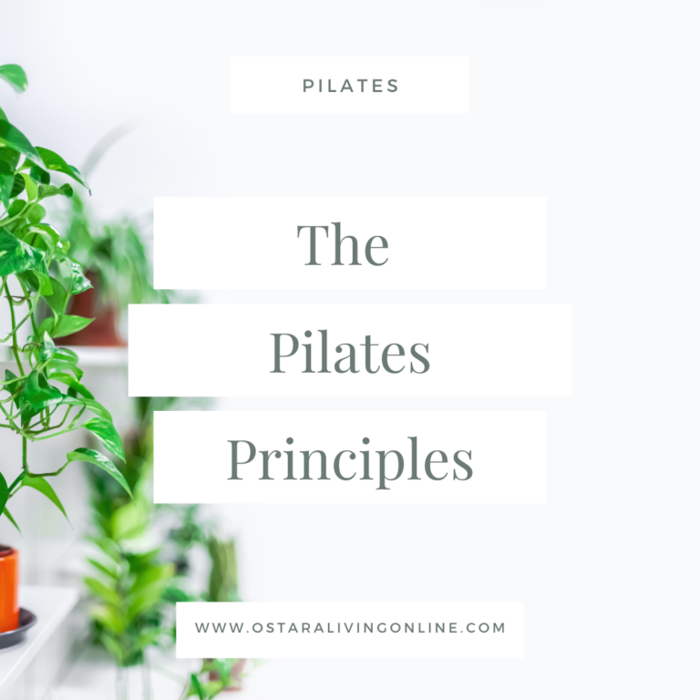 An image describing the blog post about the pilates principles